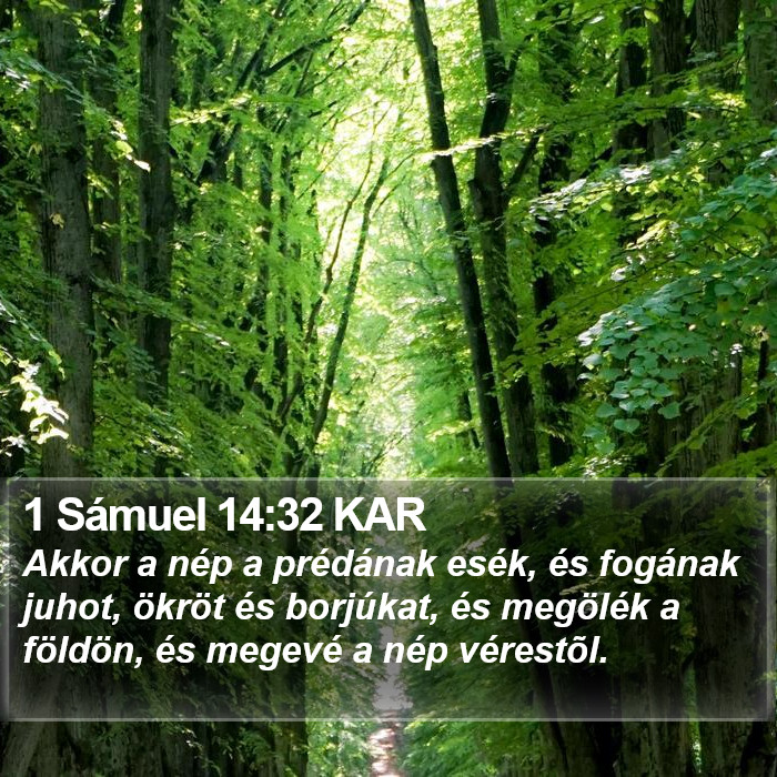 1 Sámuel 14:32 KAR Bible Study