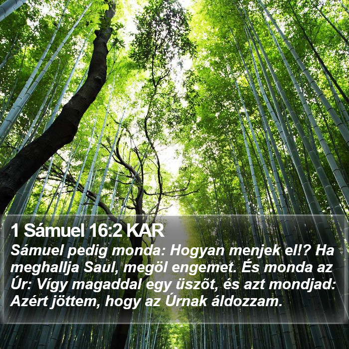 1 Sámuel 16:2 KAR Bible Study