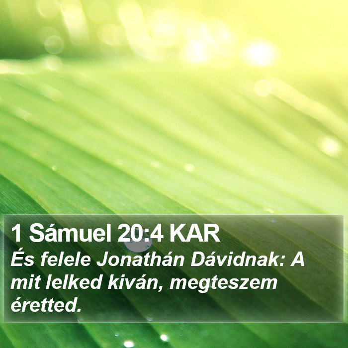 1 Sámuel 20:4 KAR Bible Study