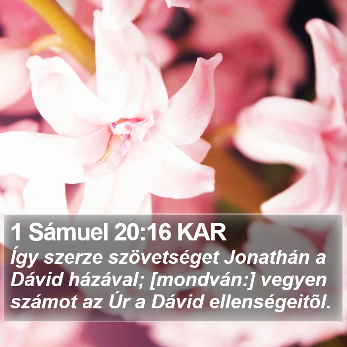 1 Sámuel 20:16 KAR Bible Study