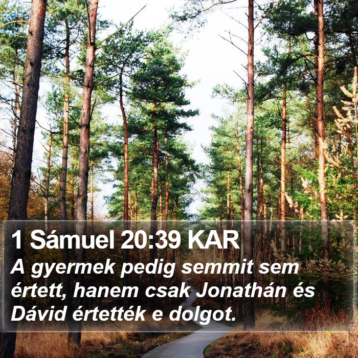 1 Sámuel 20:39 KAR Bible Study