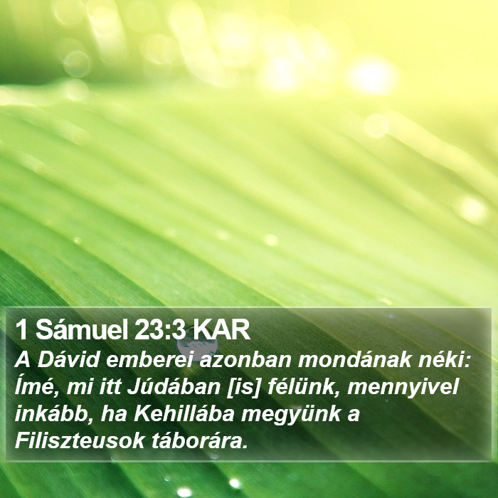 1 Sámuel 23:3 KAR Bible Study