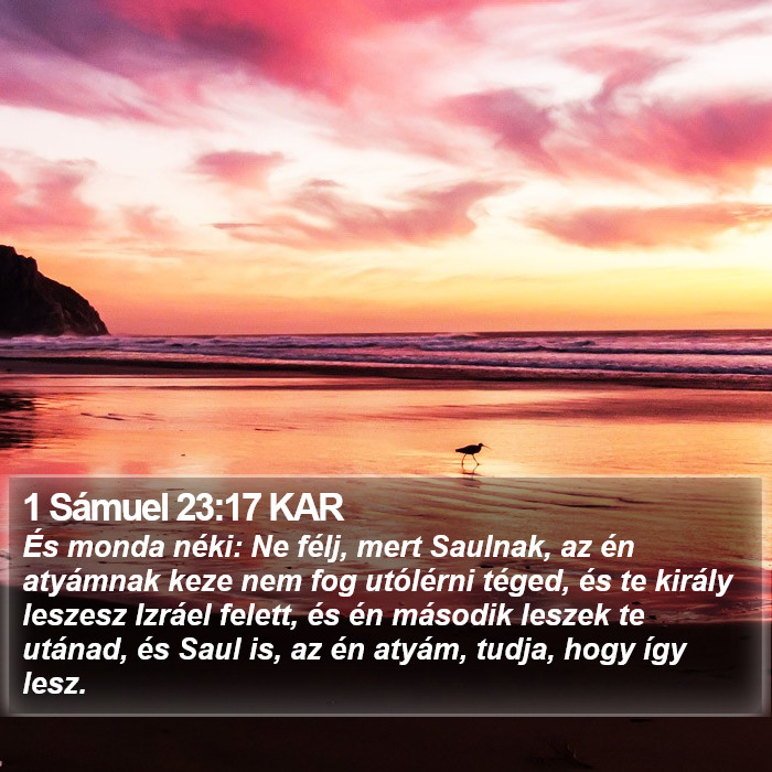 1 Sámuel 23:17 KAR Bible Study