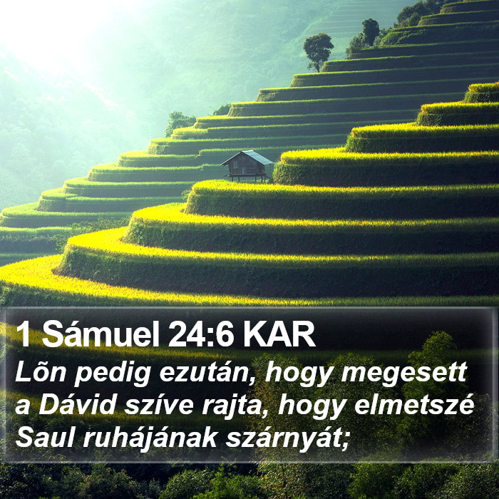1 Sámuel 24:6 KAR Bible Study
