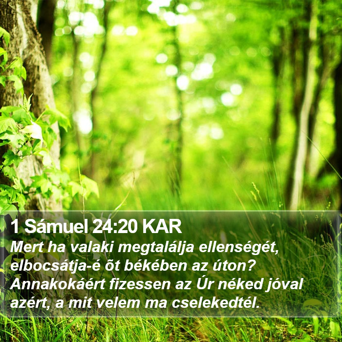 1 Sámuel 24:20 KAR Bible Study