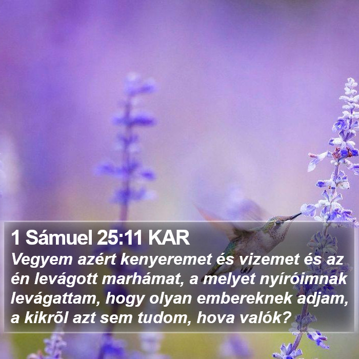 1 Sámuel 25:11 KAR Bible Study