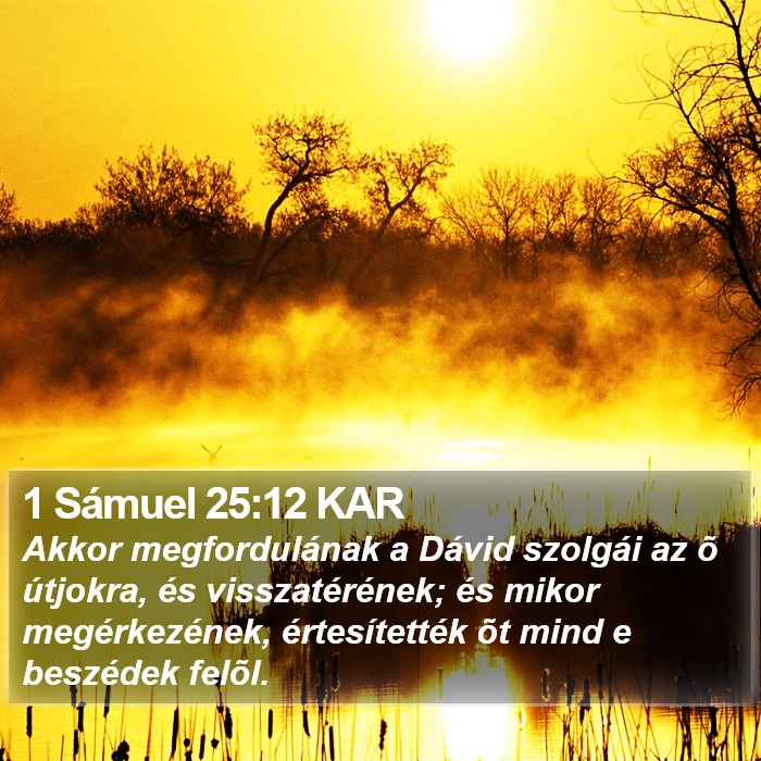 1 Sámuel 25:12 KAR Bible Study