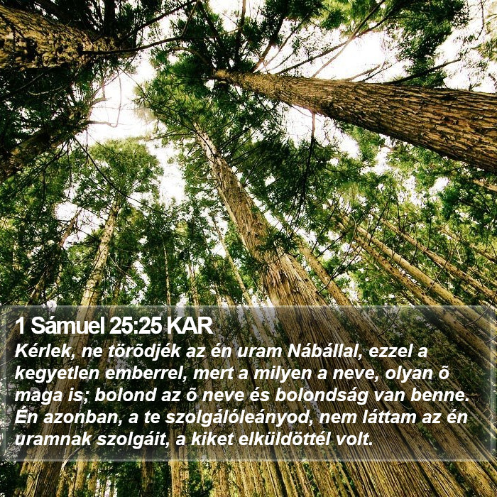 1 Sámuel 25:25 KAR Bible Study