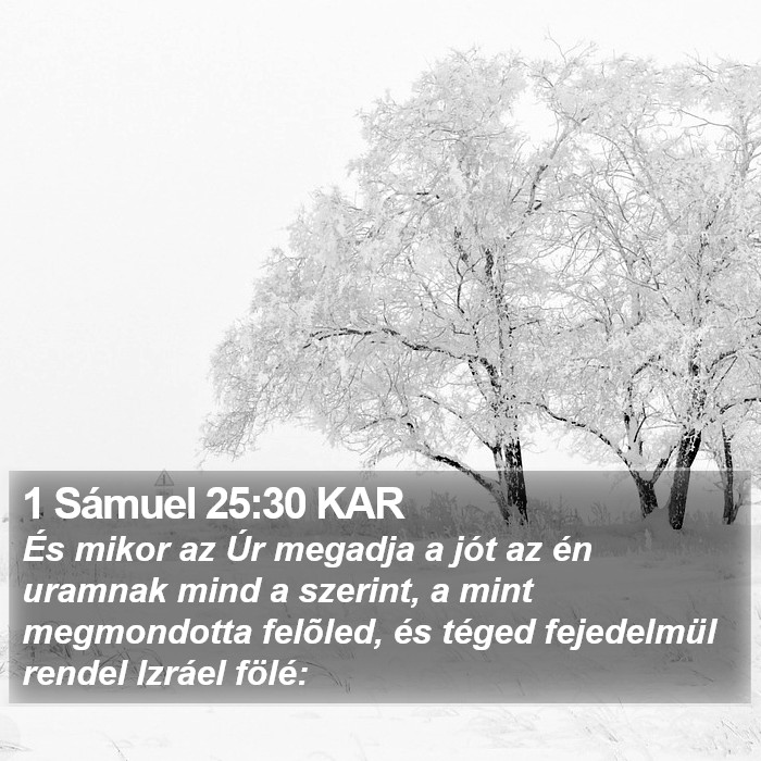 1 Sámuel 25:30 KAR Bible Study