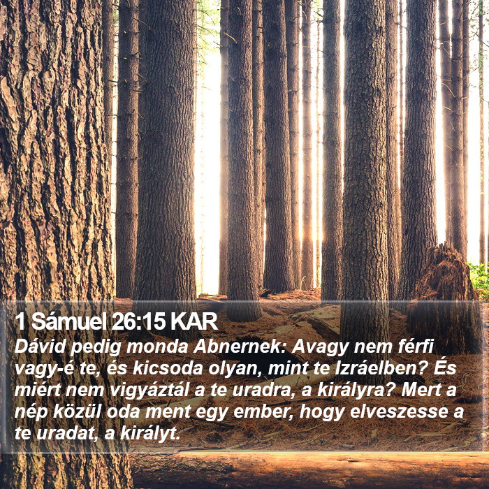 1 Sámuel 26:15 KAR Bible Study