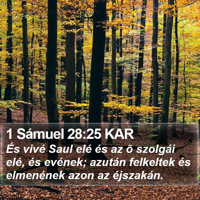 1 Sámuel 28:25 KAR Bible Study