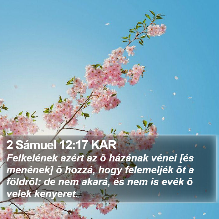 2 Sámuel 12:17 KAR Bible Study