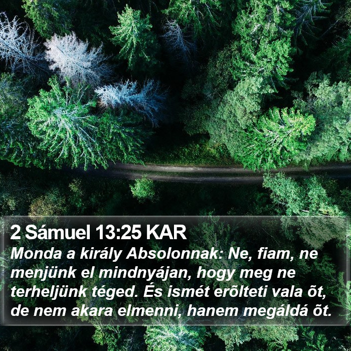 2 Sámuel 13:25 KAR Bible Study