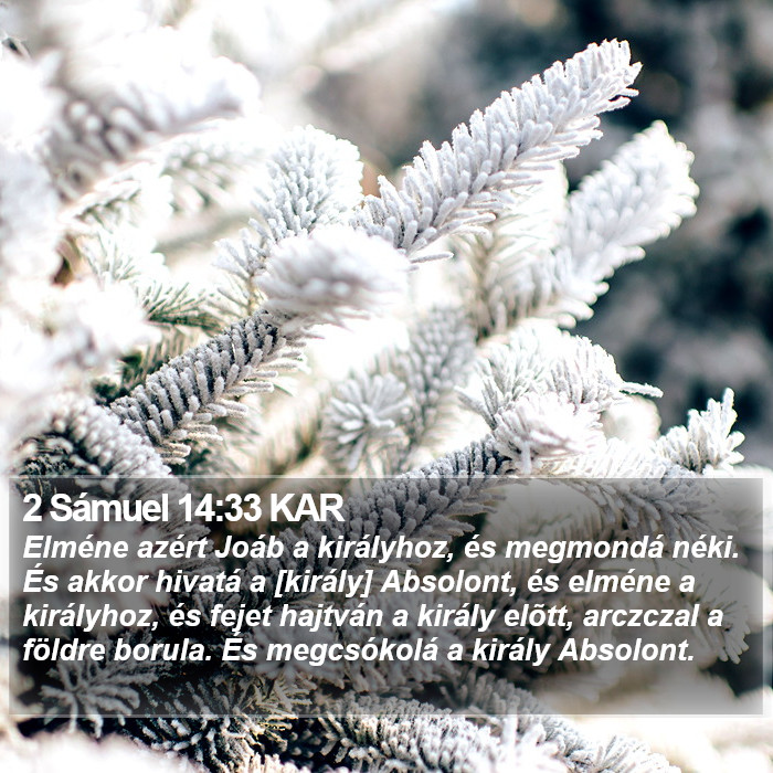 2 Sámuel 14:33 KAR Bible Study