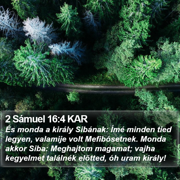 2 Sámuel 16:4 KAR Bible Study