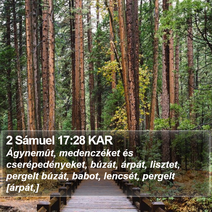 2 Sámuel 17:28 KAR Bible Study