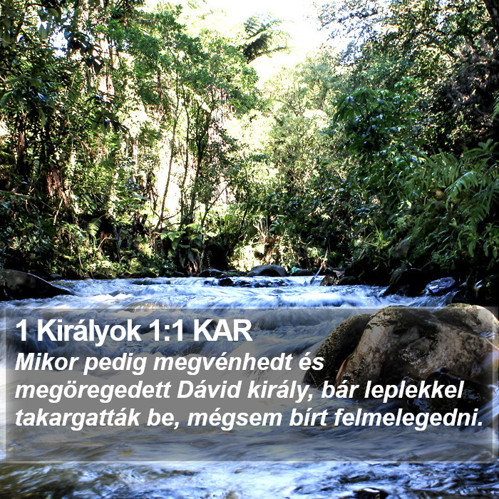 1 Királyok 1:1 KAR Bible Study