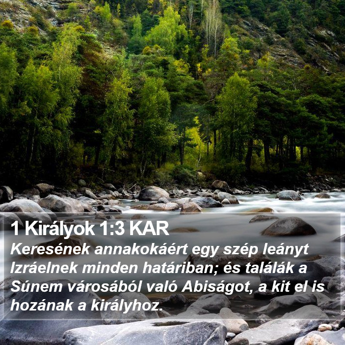 1 Királyok 1:3 KAR Bible Study