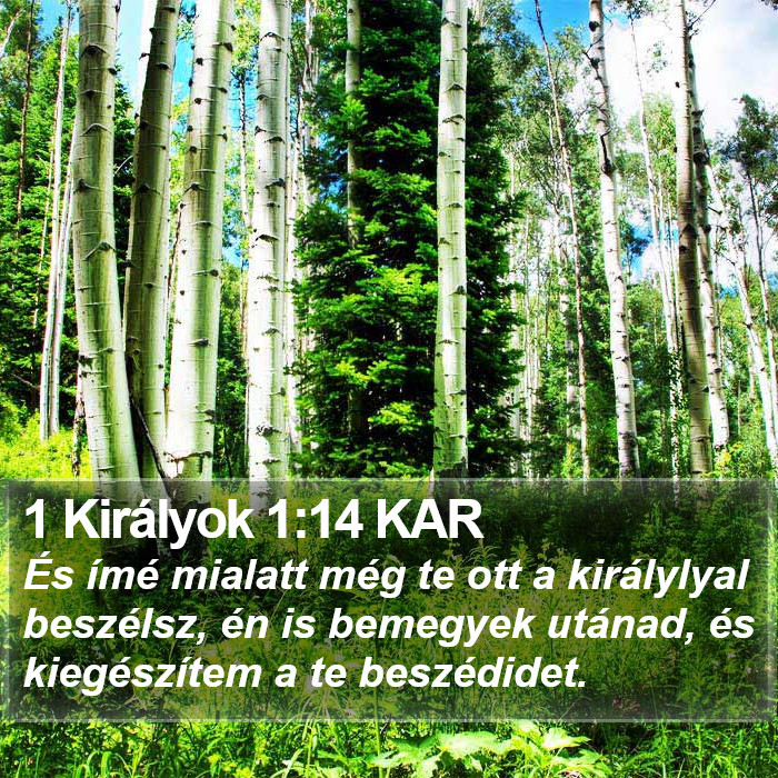 1 Királyok 1:14 KAR Bible Study