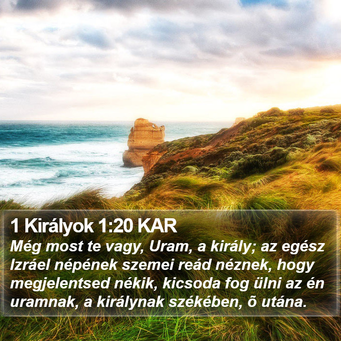 1 Királyok 1:20 KAR Bible Study