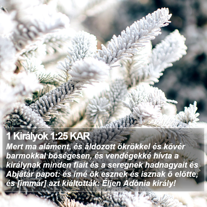 1 Királyok 1:25 KAR Bible Study