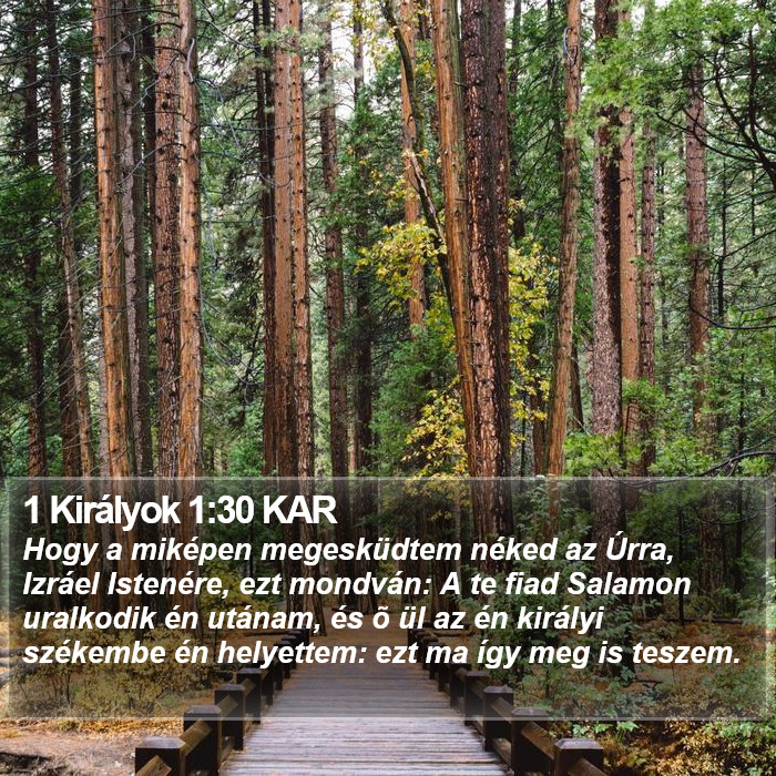 1 Királyok 1:30 KAR Bible Study