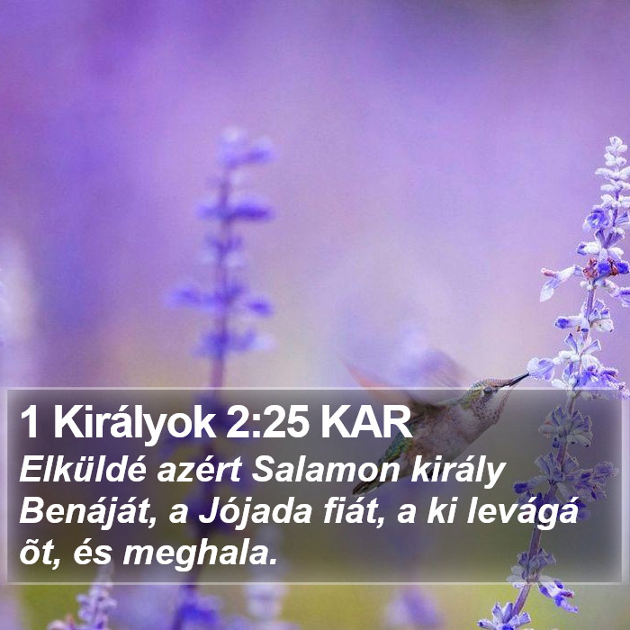 1 Királyok 2:25 KAR Bible Study