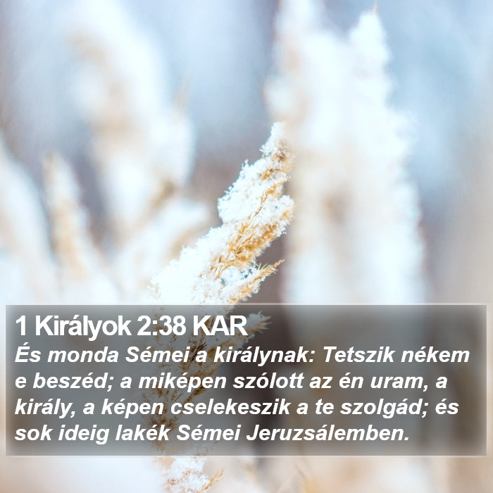 1 Királyok 2:38 KAR Bible Study