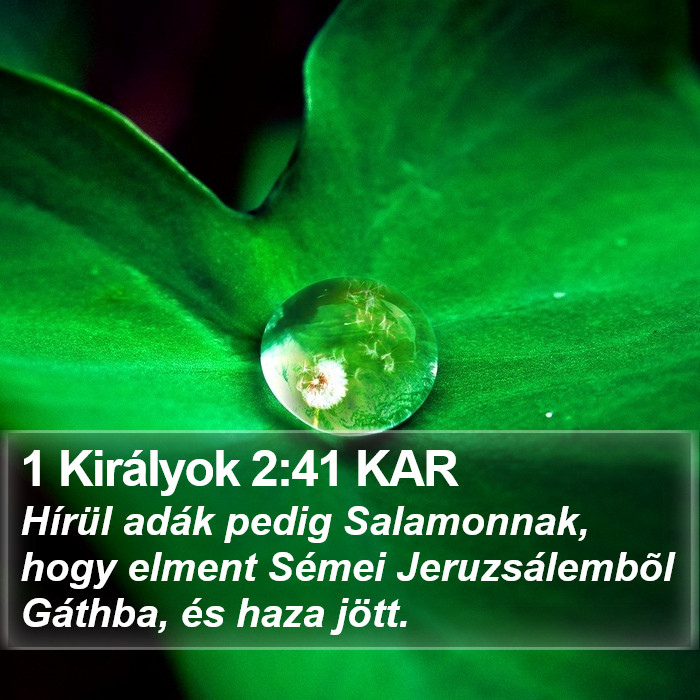 1 Királyok 2:41 KAR Bible Study