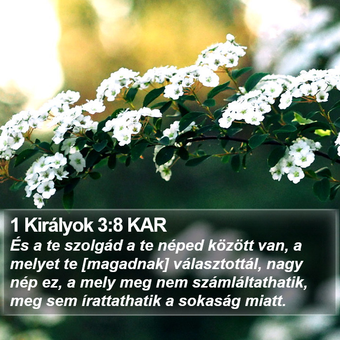 1 Királyok 3:8 KAR Bible Study