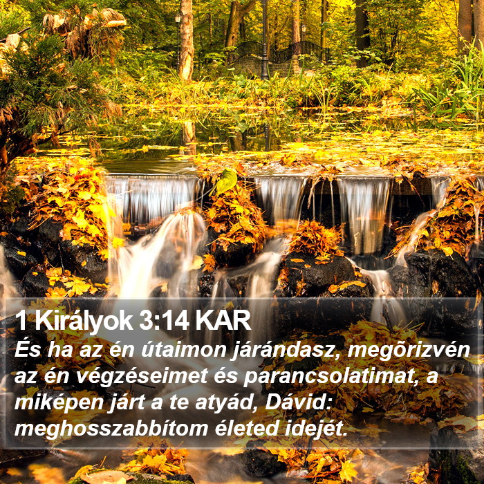 1 Királyok 3:14 KAR Bible Study