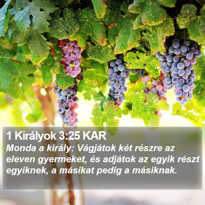 1 Királyok 3:25 KAR Bible Study