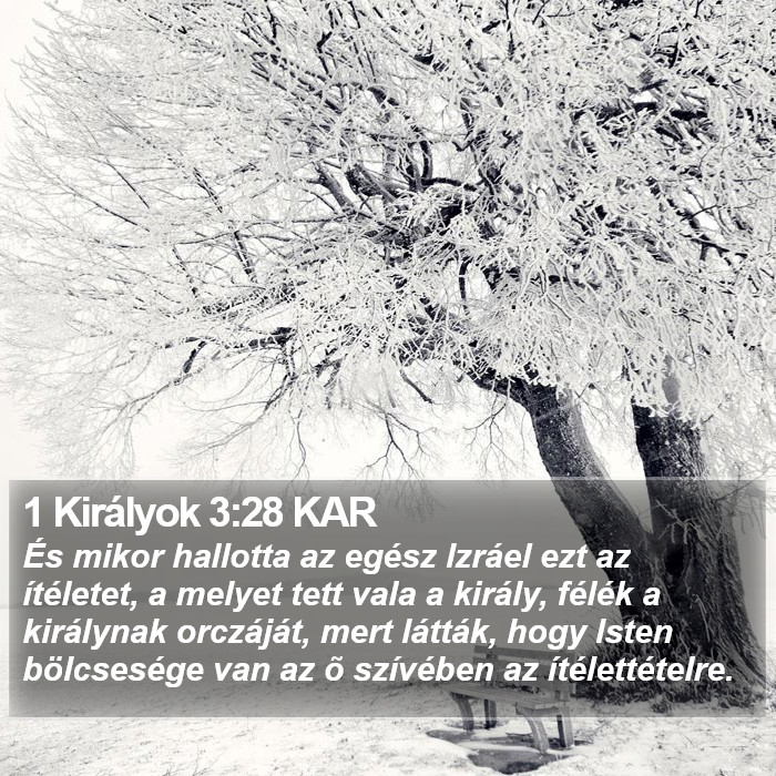 1 Királyok 3:28 KAR Bible Study