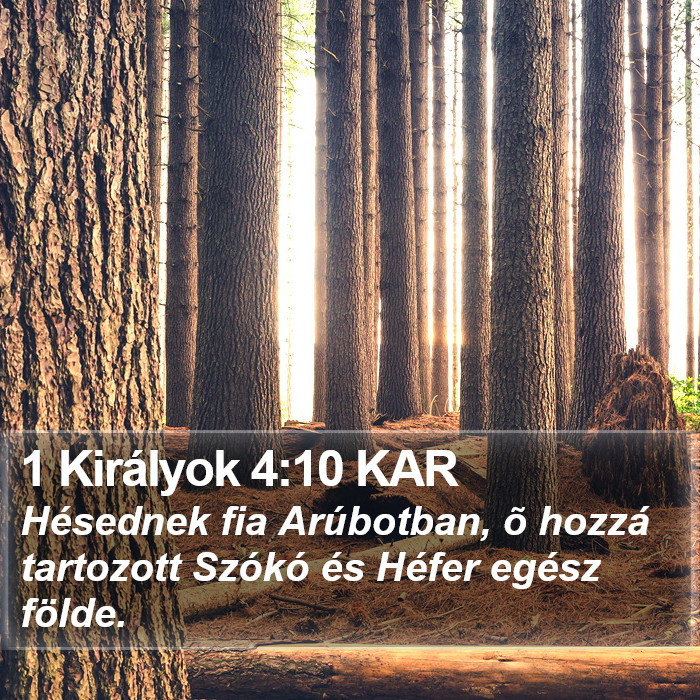 1 Királyok 4:10 KAR Bible Study