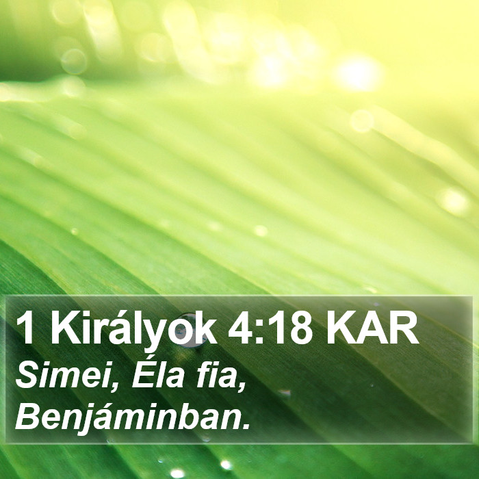 1 Királyok 4:18 KAR Bible Study