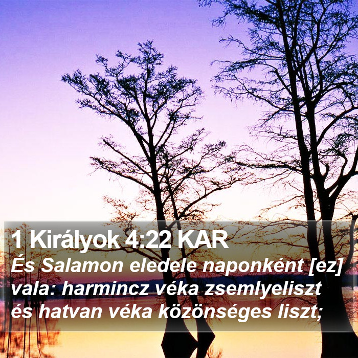 1 Királyok 4:22 KAR Bible Study