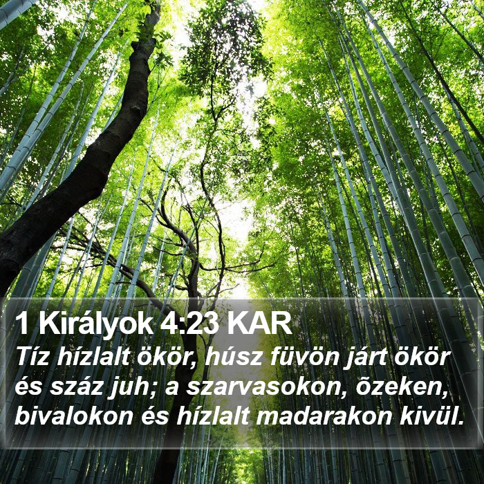 1 Királyok 4:23 KAR Bible Study