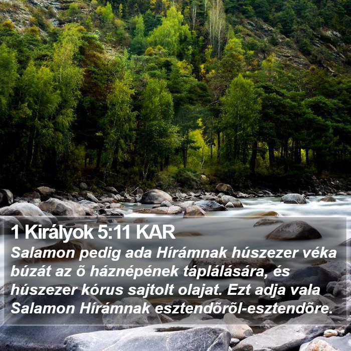 1 Királyok 5:11 KAR Bible Study