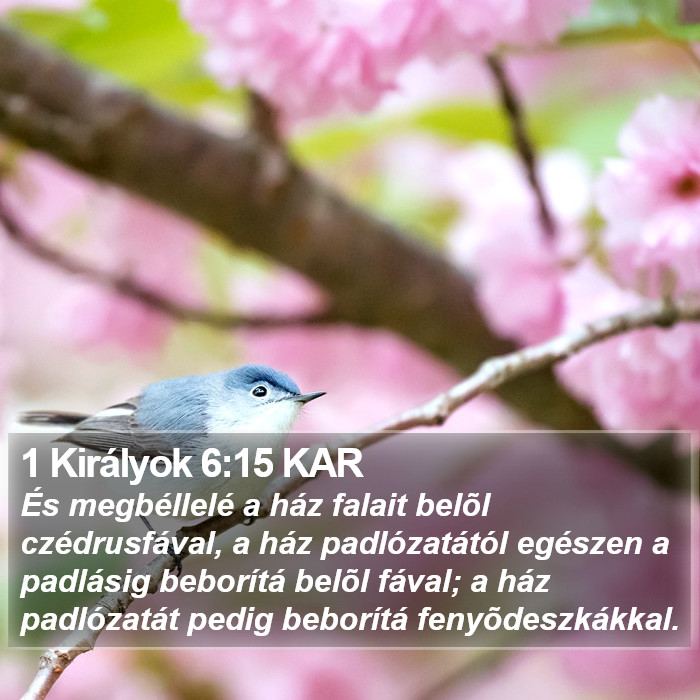 1 Királyok 6:15 KAR Bible Study