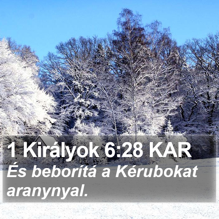 1 Királyok 6:28 KAR Bible Study