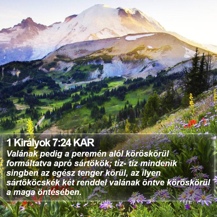 1 Királyok 7:24 KAR Bible Study