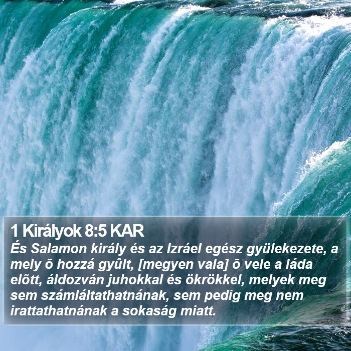 1 Királyok 8:5 KAR Bible Study