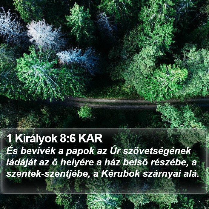 1 Királyok 8:6 KAR Bible Study