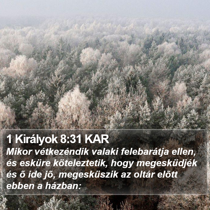 1 Királyok 8:31 KAR Bible Study