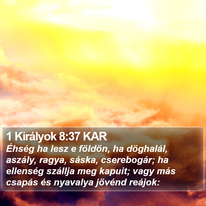 1 Királyok 8:37 KAR Bible Study