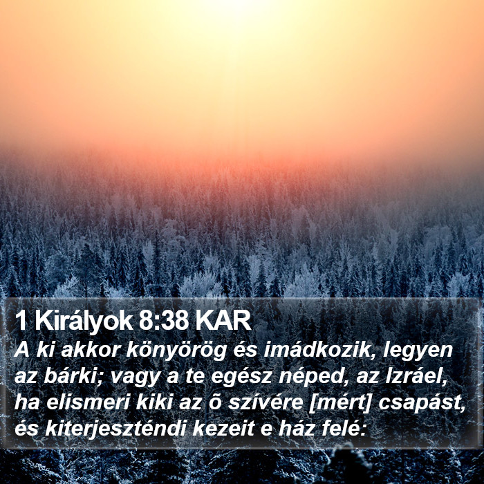 1 Királyok 8:38 KAR Bible Study