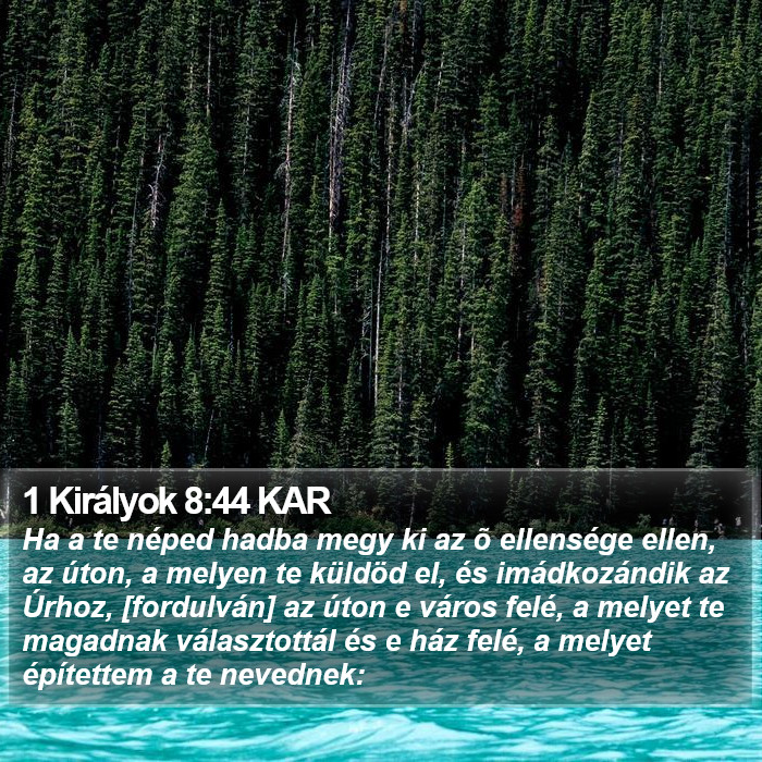 1 Királyok 8:44 KAR Bible Study