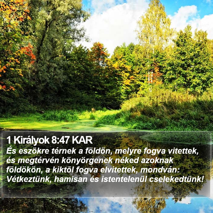 1 Királyok 8:47 KAR Bible Study