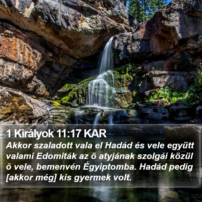 1 Királyok 11:17 KAR Bible Study