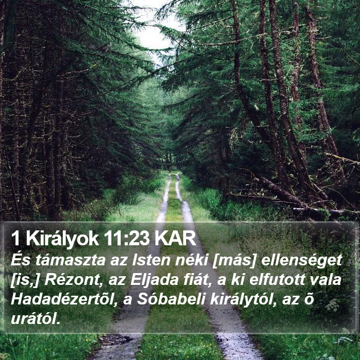 1 Királyok 11:23 KAR Bible Study